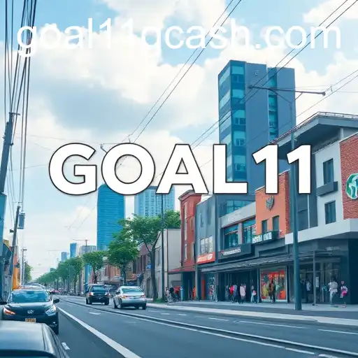 About Us: Understanding GOAL11